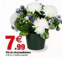 Bazarland Pot de chrysanthèmes offre