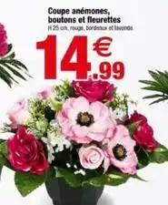 Bazarland Coupe anémones, boutons et fleurettes offre