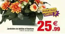 Bazarland Jardinière de dahlias et boutons offre