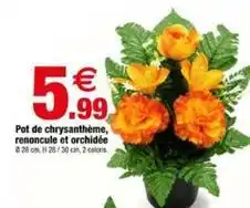 Bazarland Pot de chrysanthème, renoncule et orchidée offre
