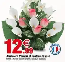 Bazarland Jardinière d'arums et boutons de rose offre