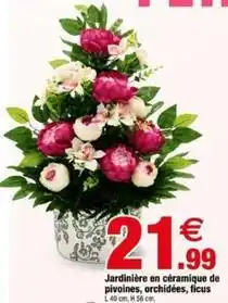 Bazarland Jardinière en céramique de pivoines, orchidées, ficus offre