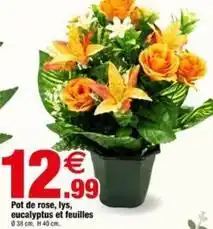 Bazarland Pot de rose, lys, eucalyptus et feuilles offre