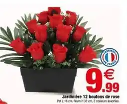 Bazarland Jardinière 12 boutons de rose offre