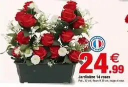 Bazarland Jardinière 14 roses offre