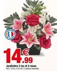 Bazarland Jardinière 3 lys et 3 roses offre