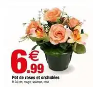 Bazarland Pot de roses et orchidées offre