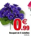 Bazarland Bouquet de 5 violettes offre