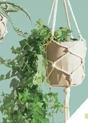 Gifi Suspension macramé offre