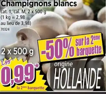 Champignons
