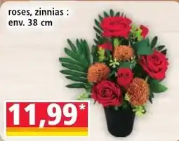 Norma roses, zinnias offre