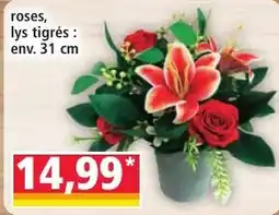 Norma roses, lys tigrés offre