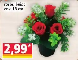 Norma roses, buis offre