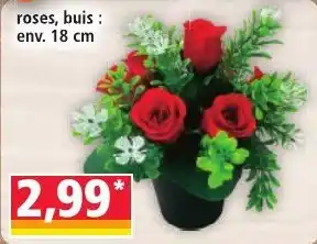 Roses, buis
