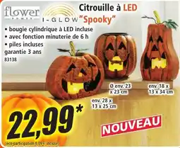 Norma flower I-GLOW Citrouille à LED "Spooky" offre