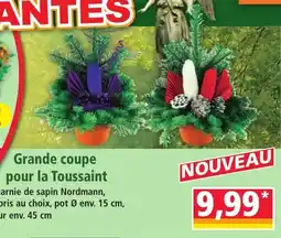 Norma Grande coupe pour la Toussaint offre