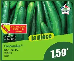 Norma Concombre offre