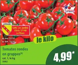 Norma Tomates de France Tomates rondes en grappes offre