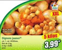 Norma Fruits & Légumes de France Oignons jaunes offre