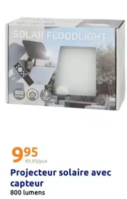 Action SOLAR FLOODLIGHT offre