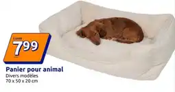 Action Panier pour animal offre