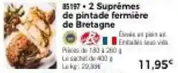 Thiriet 2 Suprêmes de pintade fermière de Bretagne offre