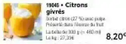 Thiriet 1904s Citrons givrés offre
