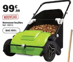 Shopix Ramasse feuilles offre