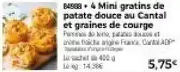 Thiriet 4 Mini gratins de patate douce au Cantal et graines de courge offre