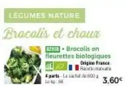 Thiriet Légumes Nature Brocolis en fleurettes biogiques offre