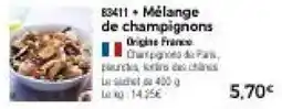 Thiriet Mélange de champignons offre