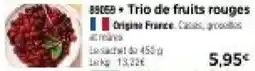 Thiriet Trio de fruits rouges offre