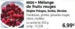 Thiriet SSOCO Mélange de fruits rouges offre