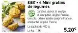 Thiriet 4 Mini gratins de légumes offre