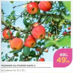 Point Vert POMMIER OU POIRIER SIMPE U offre
