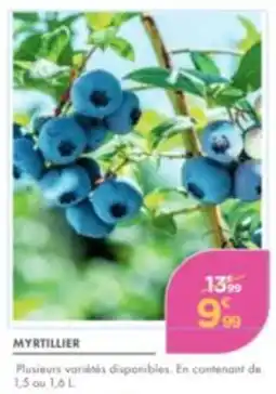 Point Vert MYRTILLIER offre