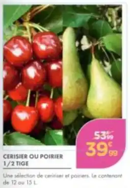 Point Vert CERISIER OU POIRIER offre