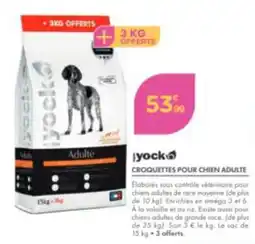 Point Vert yock Croquettes pour chien adulte offre