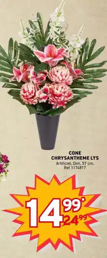 Trafic CONE CHRYSANTHEME LYS offre