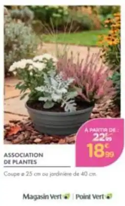 Point Vert ASSOCIATION DE PLANTES offre