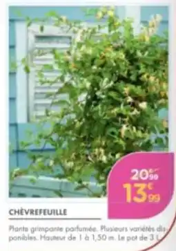 Point Vert CHÈVREFEUILLE offre