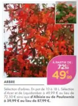 Point Vert ARBRE offre
