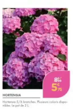 Point Vert HORTENSIA offre