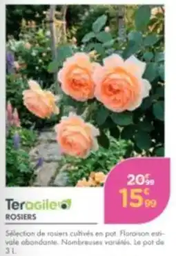 Point Vert Teragile ROSIERS offre
