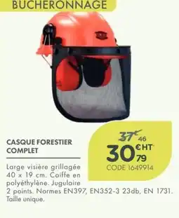 Point Vert BUCHERONNAGE CASQUE FORESTIER COMPLET offre