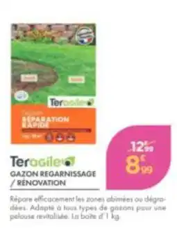 Point Vert Teracile Gazon regarnissage / rénovation offre