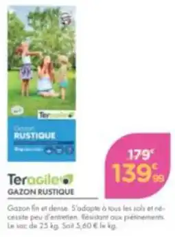 Point Vert Teragile Gazon Rustique offre