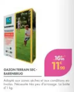 Point Vert BARENBRUG GAZON TERRAIN SEC offre