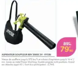 Point Vert Ryobi aspirateur souffleur rbv 3000c 5v offre