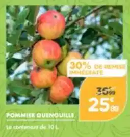 Point Vert POMMIER QUENOUILLE offre